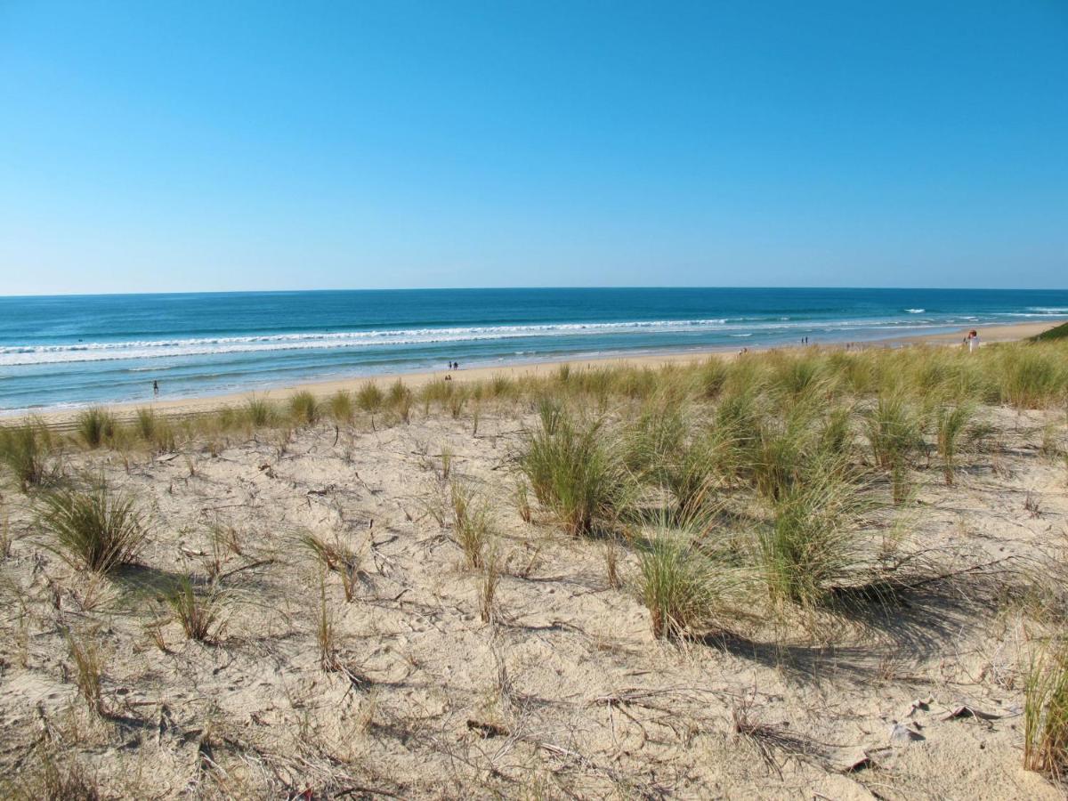 Indigo Ii-1 By Interhome Biscarrosse-Plage